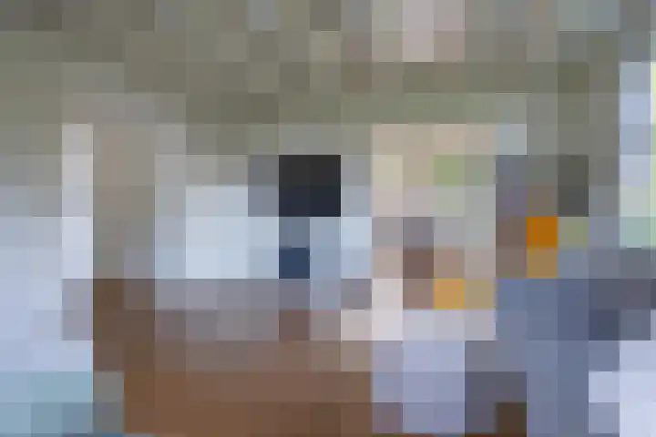 Gouwkamp 34 Berkhout thumbnail 4