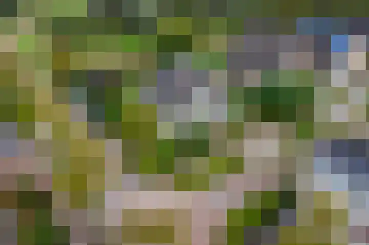 Gouwkamp 34 Berkhout thumbnail 40