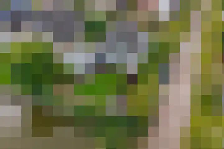 Gouwkamp 34 Berkhout thumbnail 41