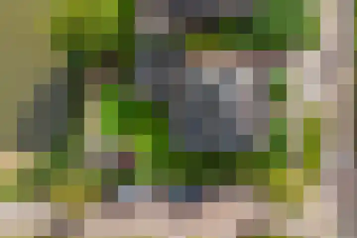 Gouwkamp 34 Berkhout thumbnail 42