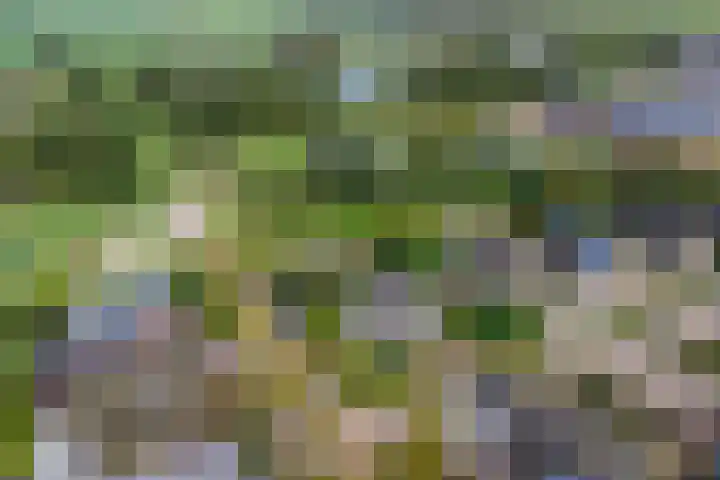 Gouwkamp 34 Berkhout thumbnail 43
