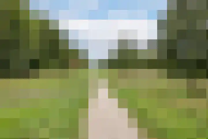Gouwkamp 34 Berkhout thumbnail 44