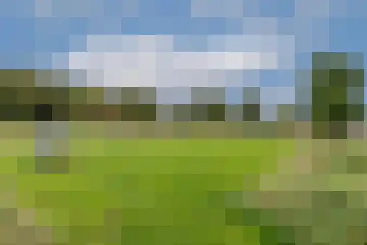 Gouwkamp 34 Berkhout thumbnail 45