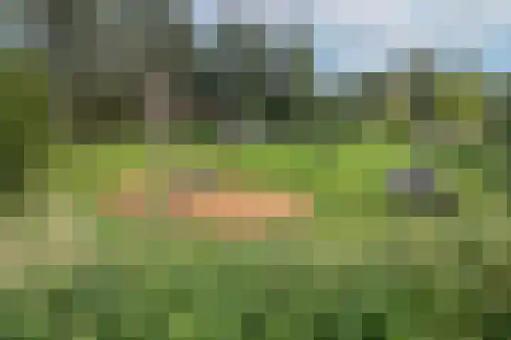 Gouwkamp 34 Berkhout thumbnail 46