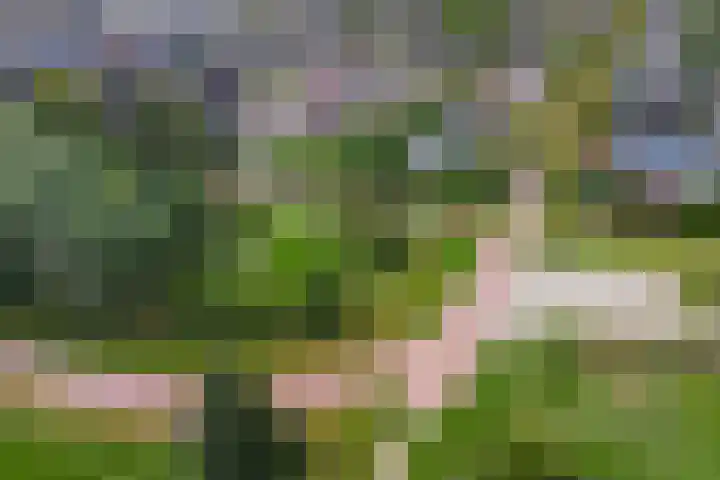 Gouwkamp 34 Berkhout thumbnail 47
