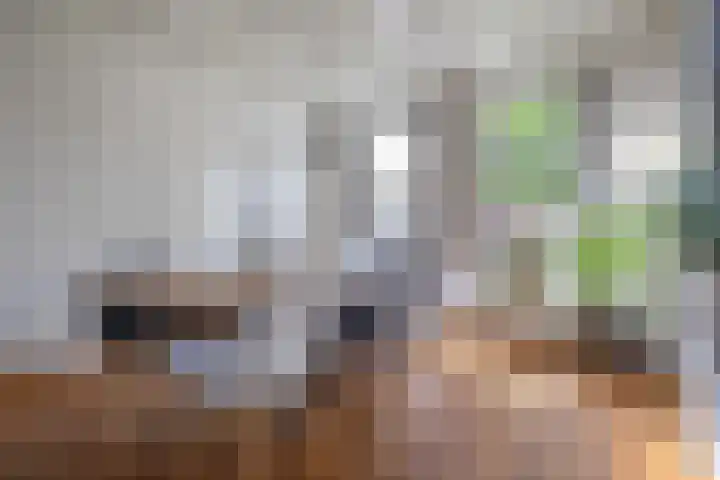 Gouwkamp 34 Berkhout thumbnail 6