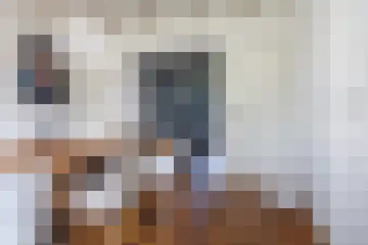 Gouwkamp 34 Berkhout thumbnail 7