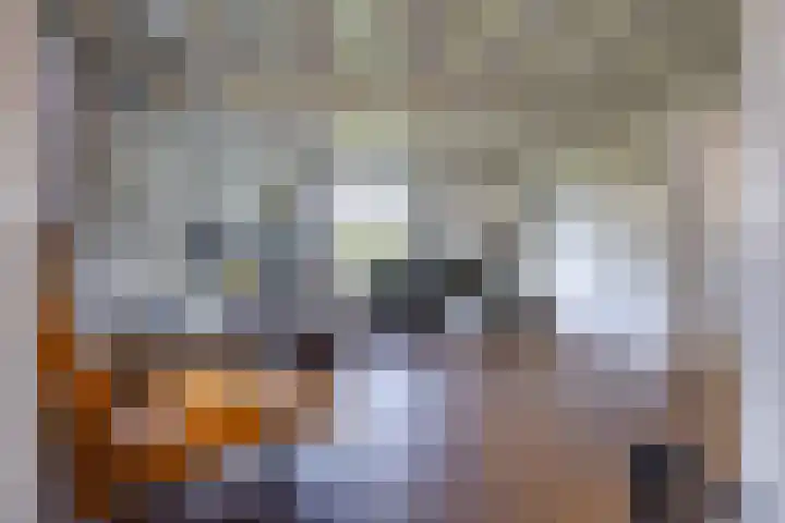 Gouwkamp 34 Berkhout thumbnail 8