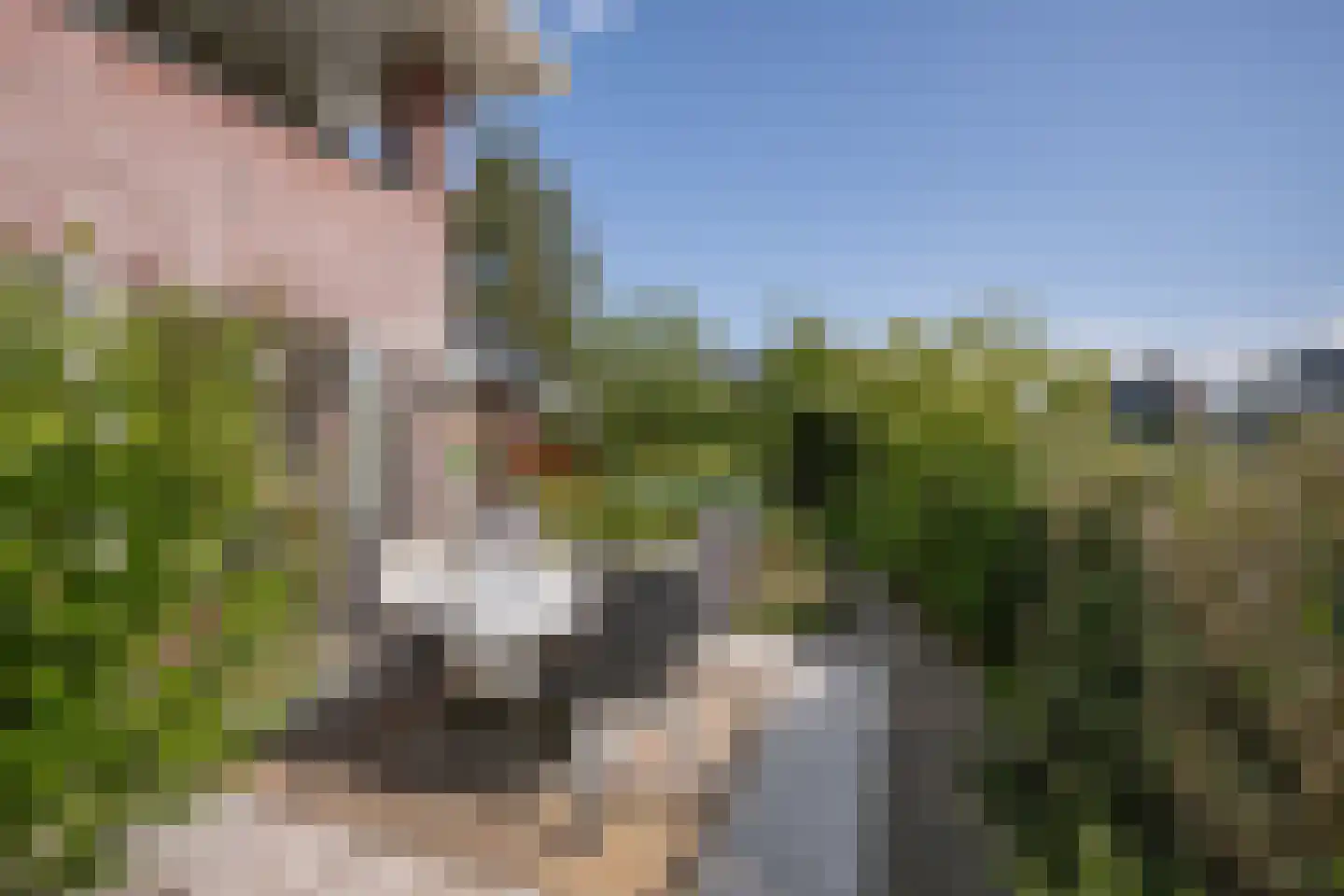 Gouwlaan 27 Kwintsheul thumbnail 21