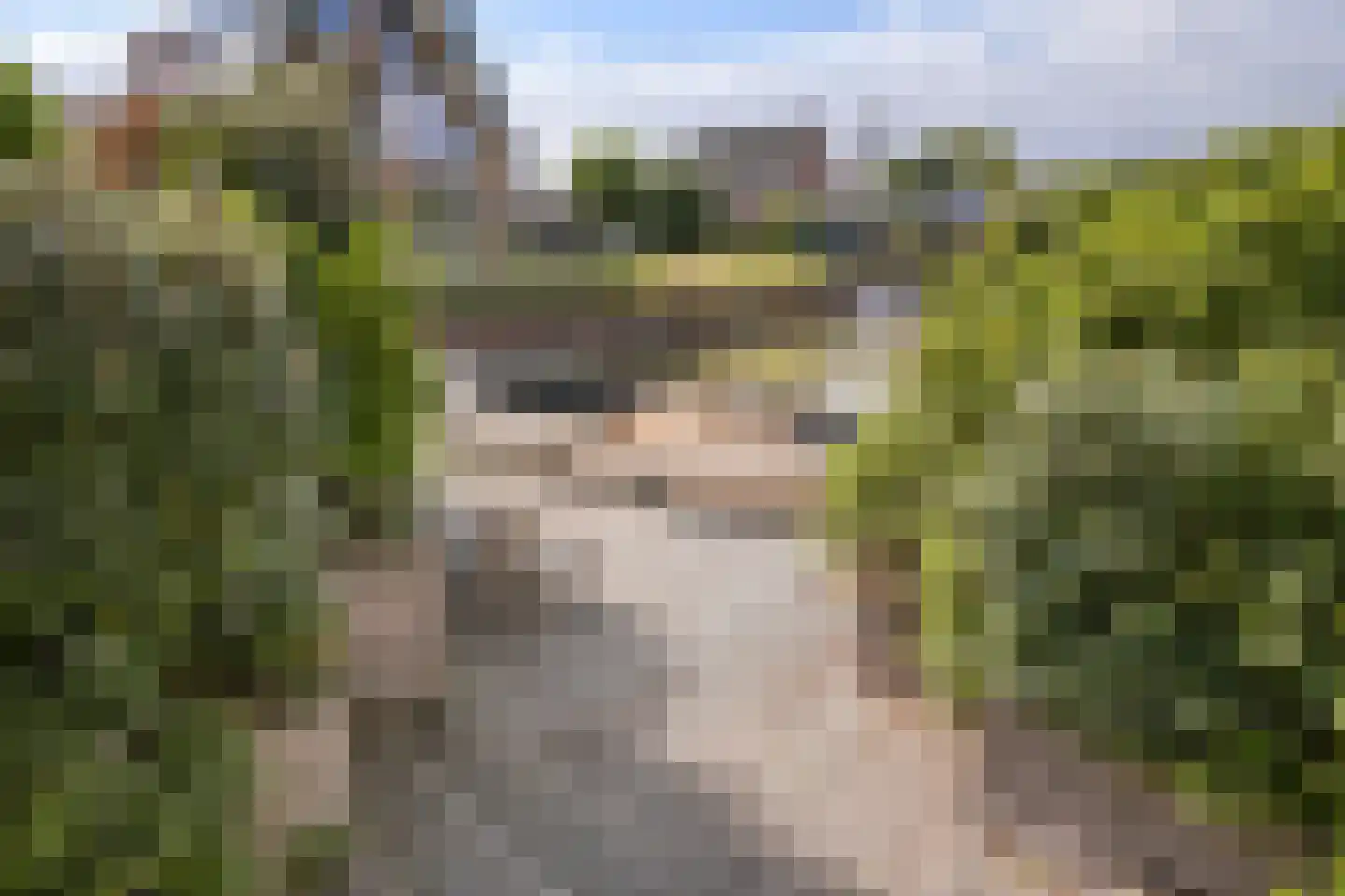 Gouwlaan 27 Kwintsheul thumbnail 25
