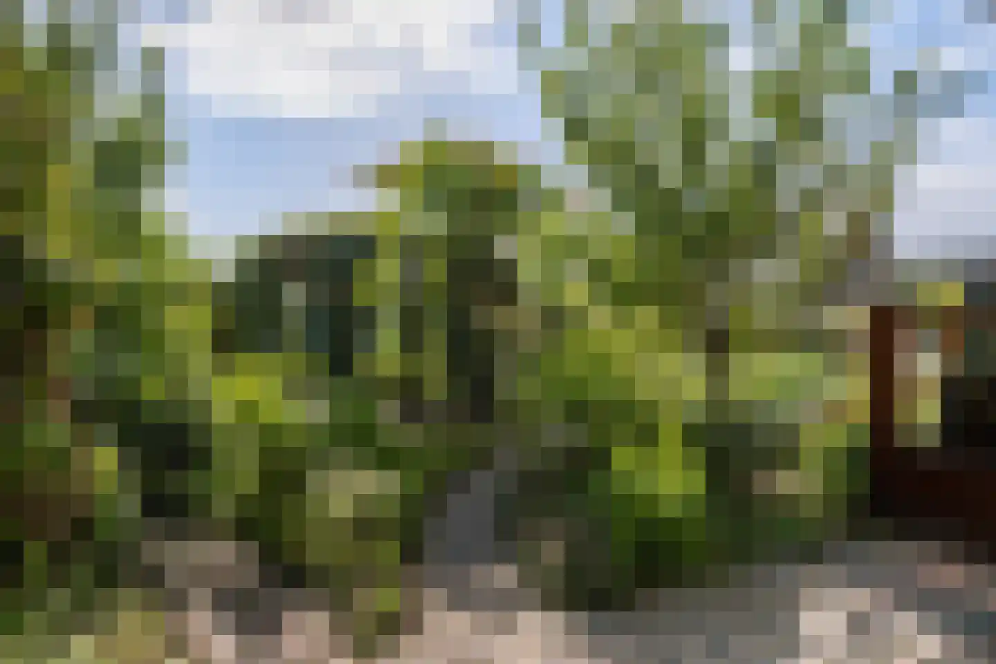 Gouwlaan 27 Kwintsheul thumbnail 29