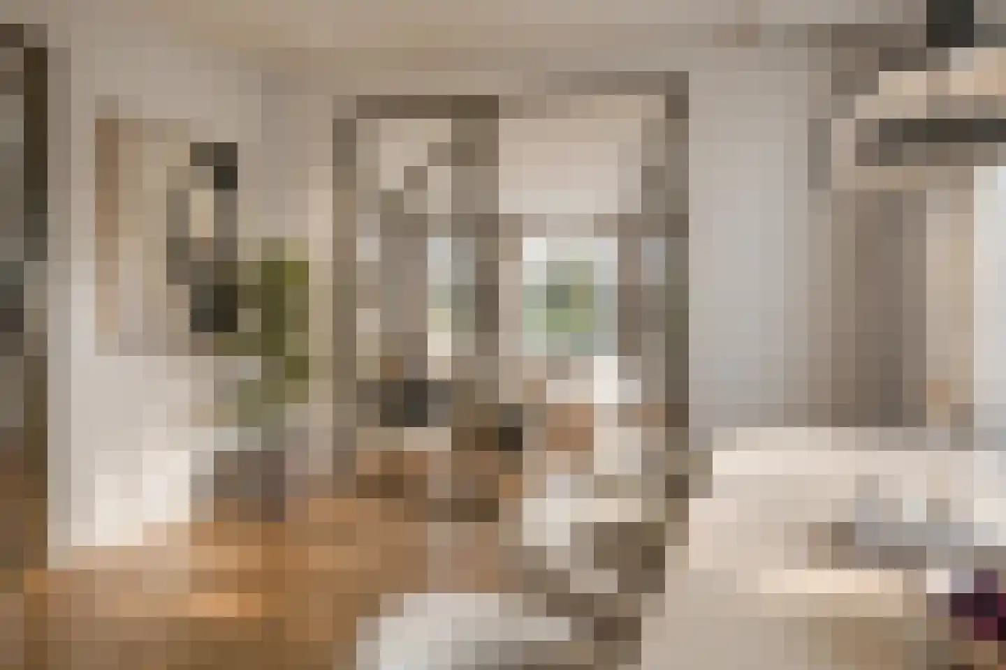 Gouwlaan 27 Kwintsheul foto 3