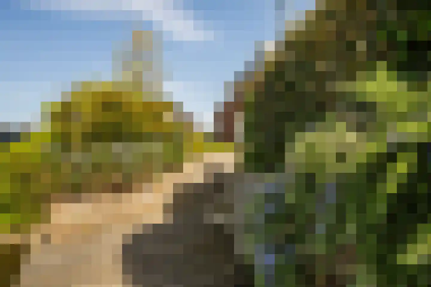 Gouwlaan 27 Kwintsheul thumbnail 32