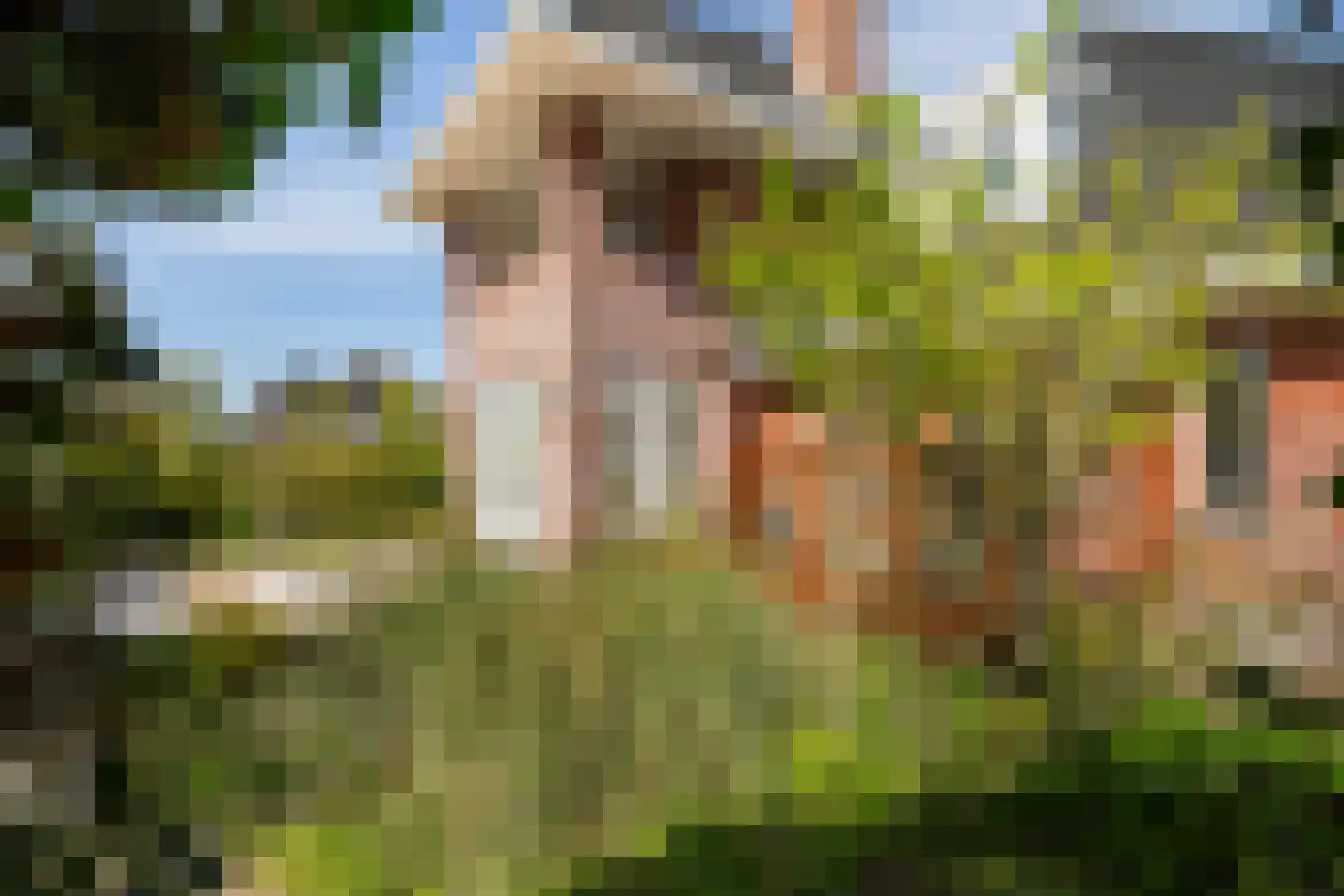 Gouwlaan 27 Kwintsheul thumbnail 35