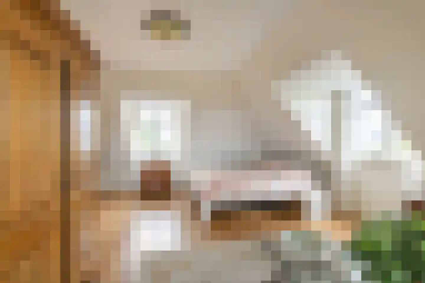 Gouwlaan 27 Kwintsheul thumbnail 44
