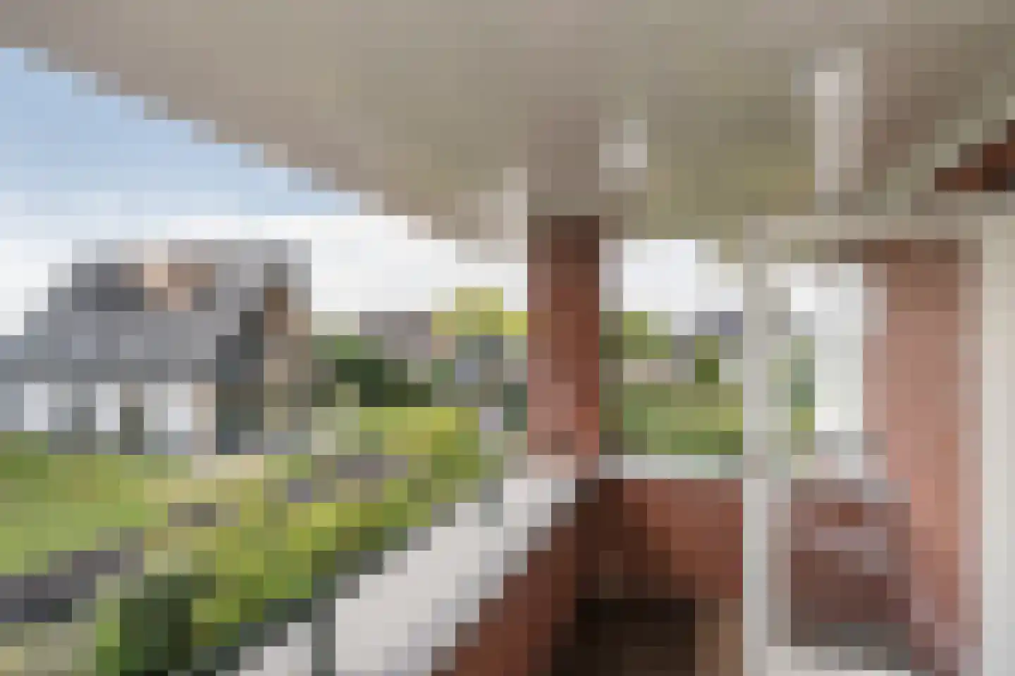 Gouwlaan 27 Kwintsheul thumbnail 51