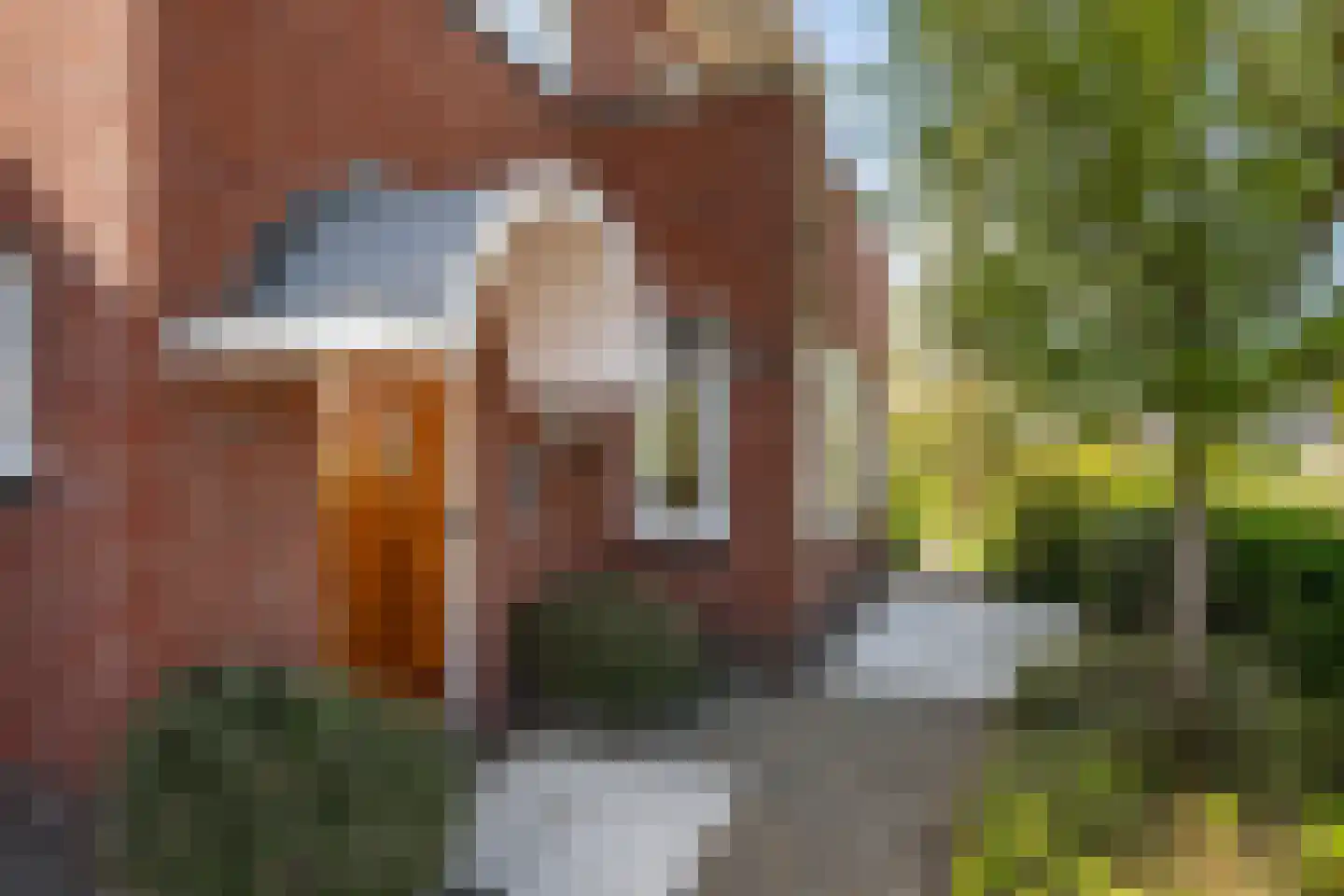 Gouwlaan 27 Kwintsheul thumbnail 67