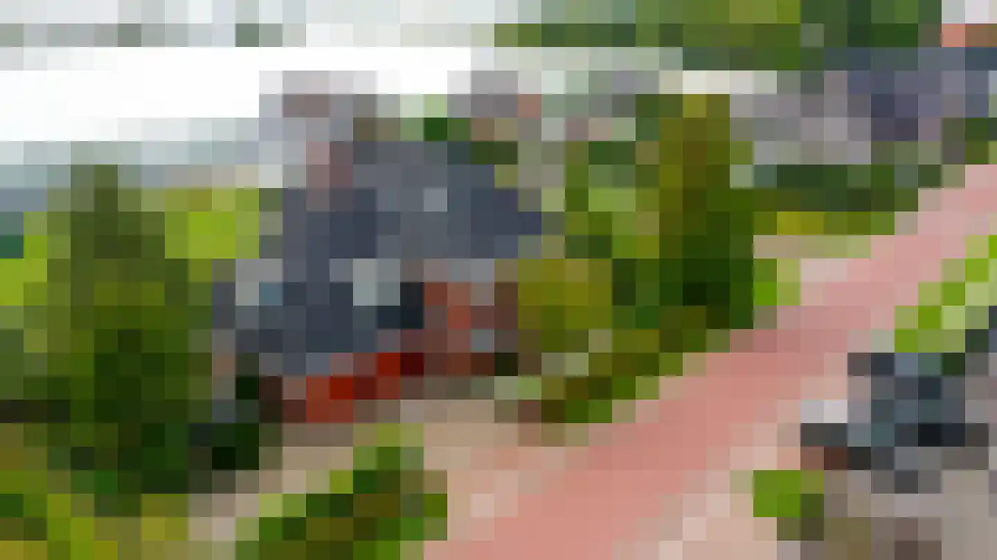 Gouwlaan 27 Kwintsheul thumbnail 74