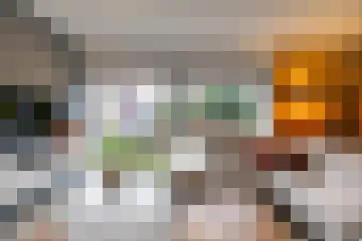 Gouwland 11 Roden thumbnail 10