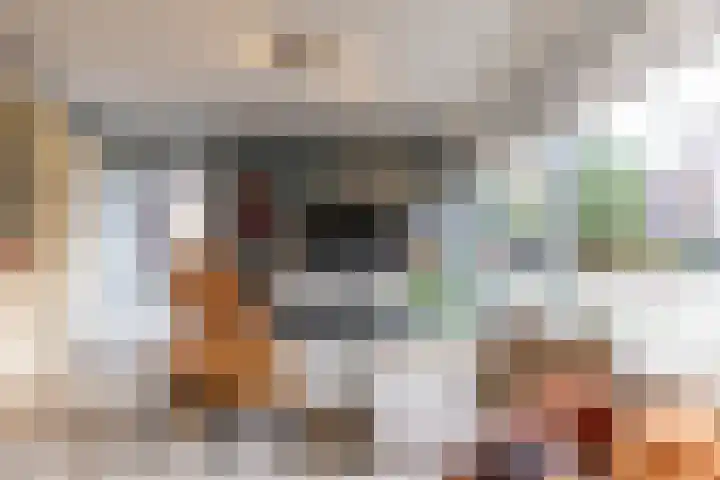 Gouwland 11 Roden thumbnail 12