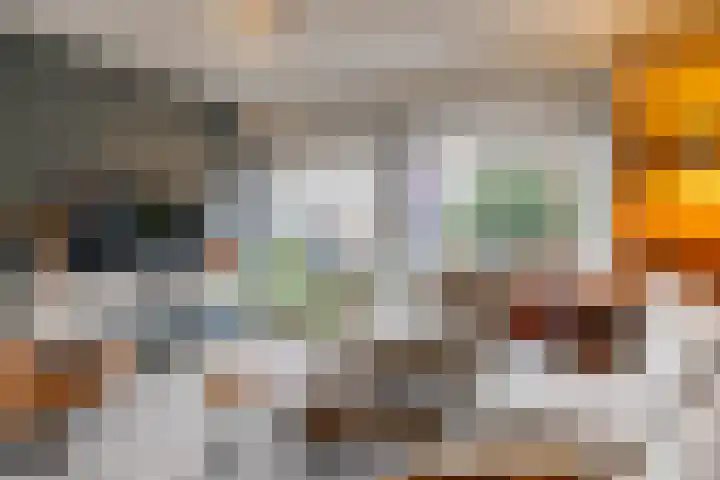 Gouwland 11 Roden thumbnail 13
