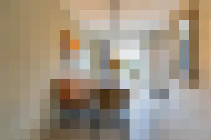 Gouwland 11 Roden thumbnail 14