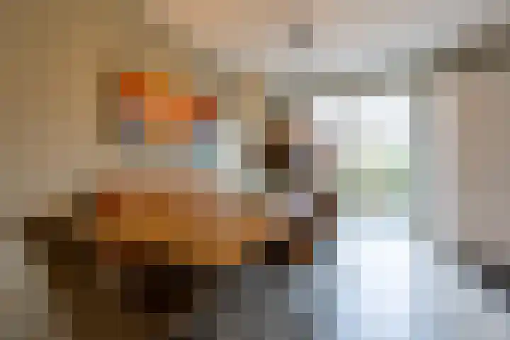 Gouwland 11 Roden thumbnail 15
