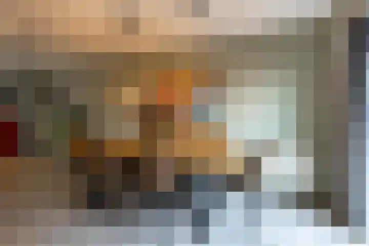 Gouwland 11 Roden thumbnail 16