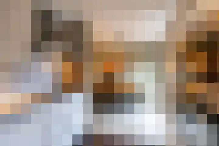 Gouwland 11 Roden thumbnail 19