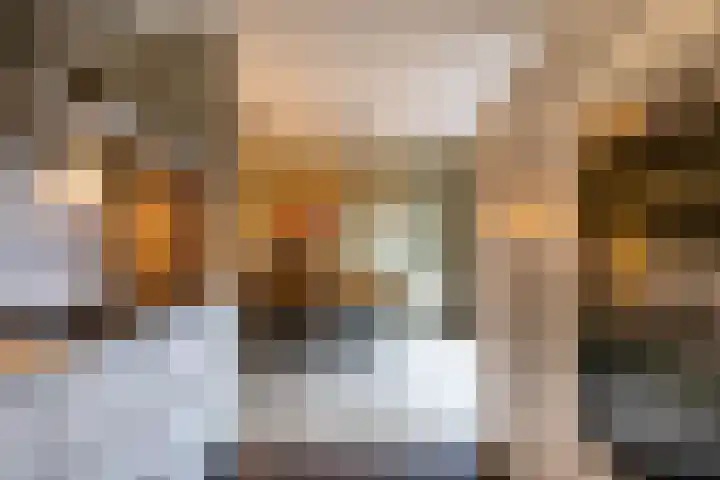 Gouwland 11 Roden thumbnail 20