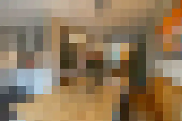 Gouwland 11 Roden thumbnail 21