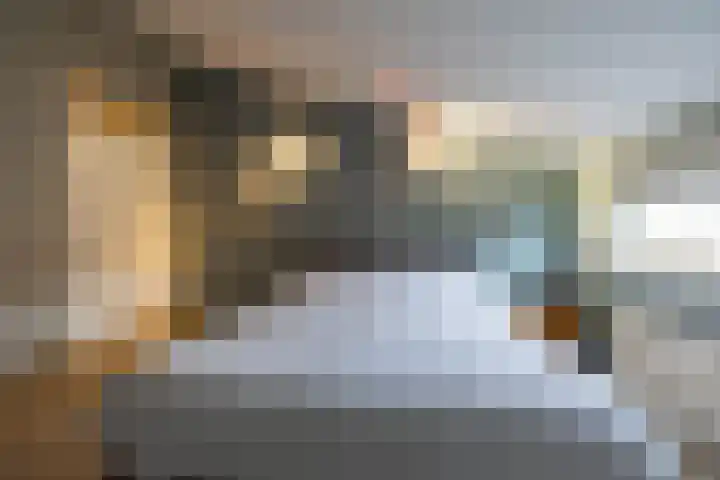 Gouwland 11 Roden thumbnail 24