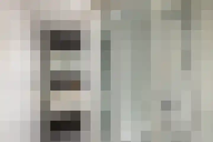 Gouwland 11 Roden thumbnail 27