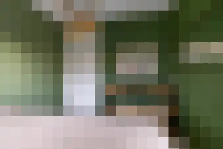 Gouwland 11 Roden thumbnail 34