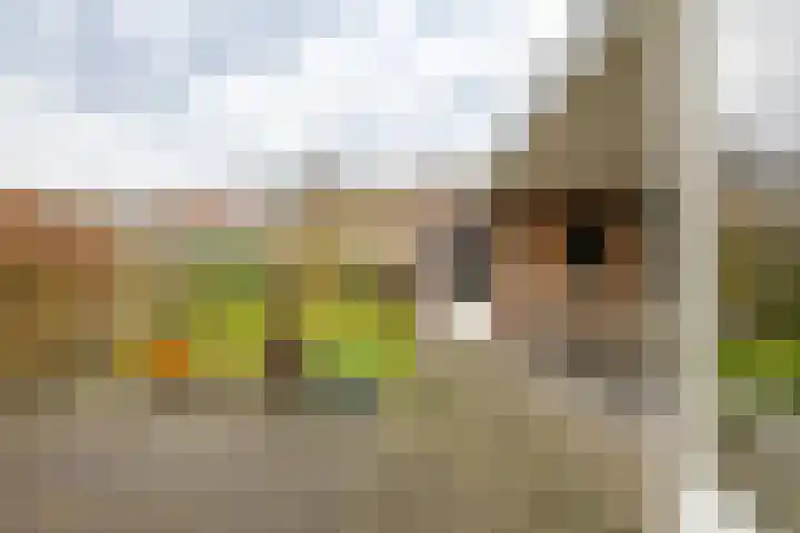 Gouwland 11 Roden thumbnail 37