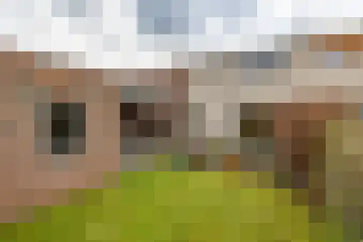 Gouwland 11 Roden thumbnail 38