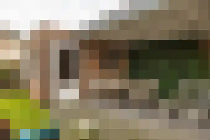 Gouwland 11 Roden thumbnail 40