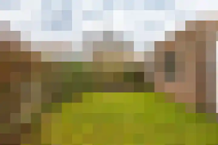 Gouwland 11 Roden thumbnail 41