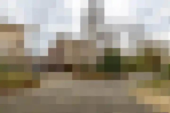 Gouwland 11 Roden thumbnail 42