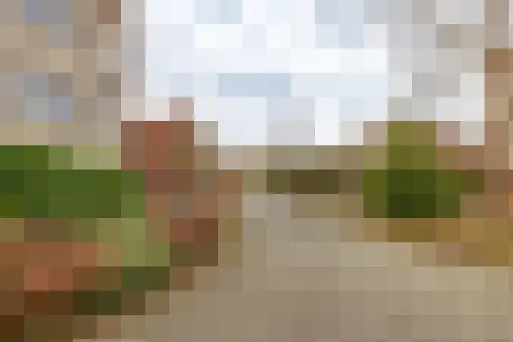 Gouwland 11 Roden thumbnail 43