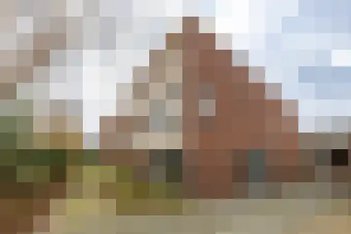Gouwland 11 Roden thumbnail 45