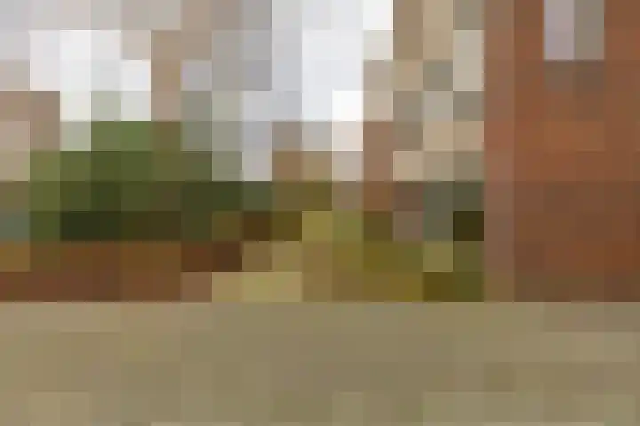 Gouwland 11 Roden thumbnail 46