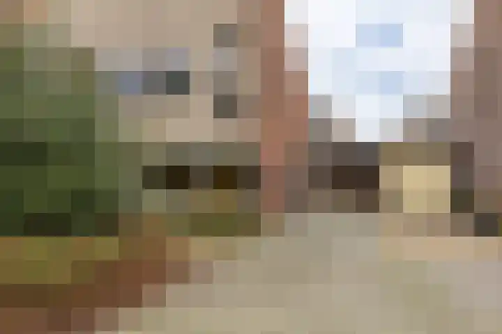 Gouwland 11 Roden thumbnail 47