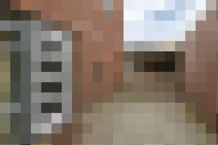 Gouwland 11 Roden thumbnail 48