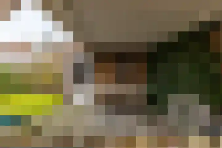 Gouwland 11 Roden thumbnail 49