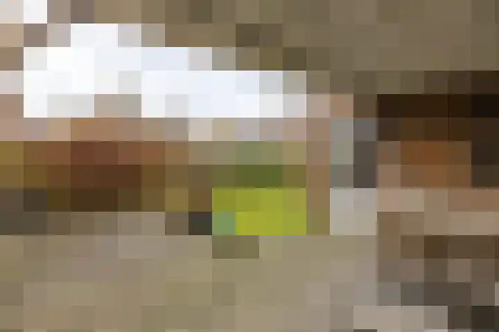 Gouwland 11 Roden thumbnail 5
