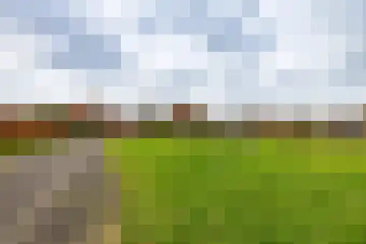 Gouwland 11 Roden thumbnail 50