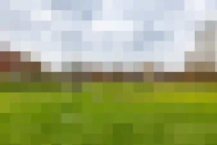 Gouwland 11 Roden thumbnail 51