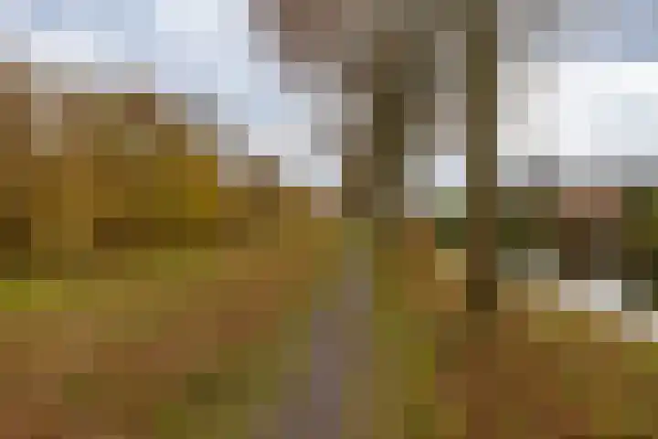 Gouwland 11 Roden thumbnail 52