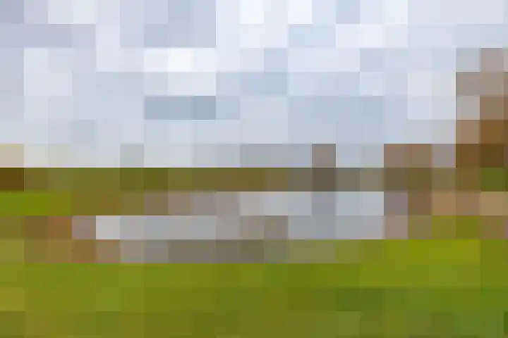 Gouwland 11 Roden thumbnail 53